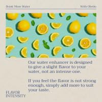 Obrilo Water Enhancer Liquid Flavoring Drops - ZERO Sugar/Calorie, Dye Free, Naturally Flavored Drink Syrup, 2.0 fl oz x 2 Bottles for Kids & Adults (Lychee)