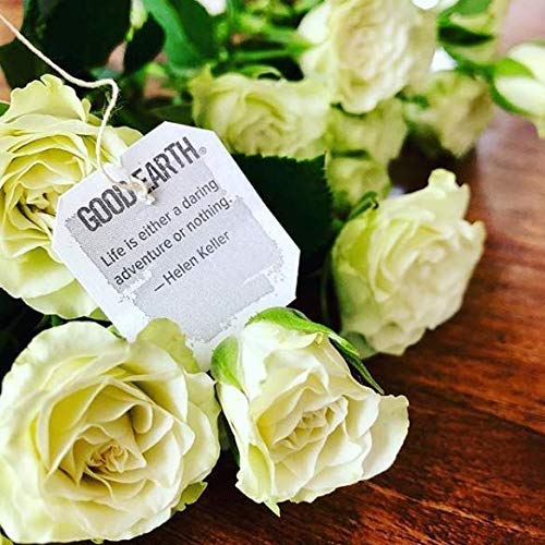 Good Earth Green Tea, Sweet and Spicy, Matcha Maker, 18 Count, Pack of 6