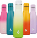 BJPKPK Insulated Water Bottle 17oz Stainless Steel Water Bottles Dishwasher Safe Reusable Metal Thermos Keep Cold and Hot,Elegant Green