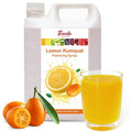 Fanale Premium Flavoring Concentrated Syrup for Bubble Tea 11 lb | Kumquat Flavor Syrup | for Boba Tea, Smoothies, Slushes, Desserts | 11lb | SRP150
