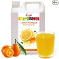 Fanale Premium Flavoring Concentrated Syrup for Bubble Tea 11 lb | Kumquat Flavor Syrup | for Boba Tea, Smoothies, Slushes, Desserts | 11lb | Pack of 4 | SRP150-CS