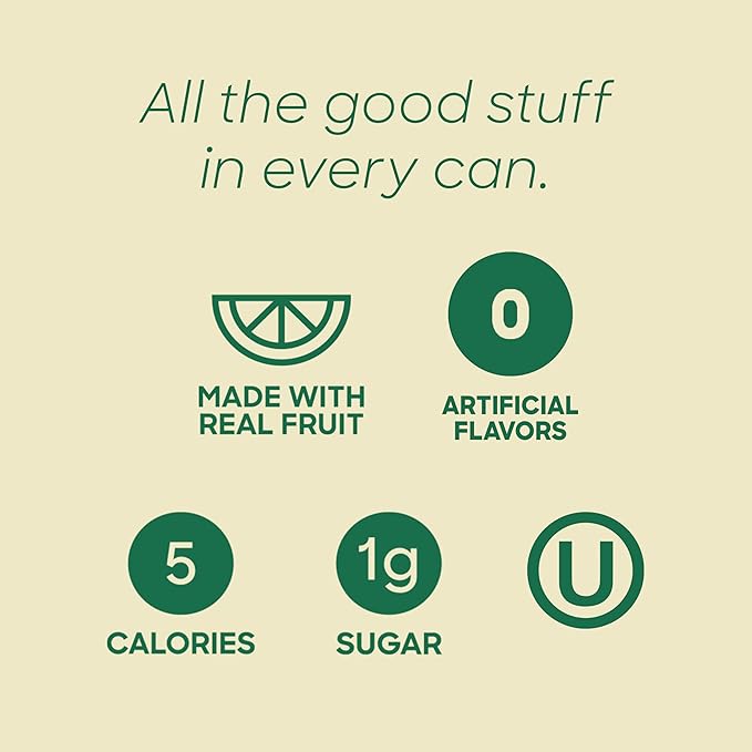 Sanzo Flavored Sparkling Water - Yuzu Lemon Soda Ginger Seltzer - Low Calorie Low Sugar Soda - Craft Asian Drinks - Vegan Gluten Free Carbonated Flavored Water - Fizzy Healthy Drinks - 12oz, 12 Pack