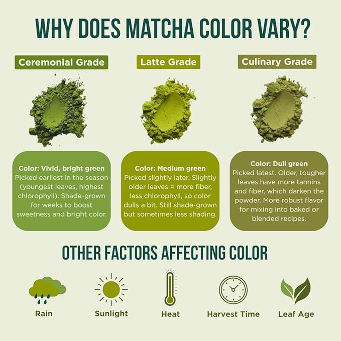 Jade Leaf Matcha Organic Premium Ceremonial Grade Matcha Green Tea Powder - Japanese - Culinary, Ingredient, Ceremonial Barista Teahouse, Latte, Collagen, 17.6 Ounce (Pack of 1), Matcha Latte