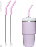 Snowfall 2 Pcs Replacement Metal Straws for Stanley 14 oz, 20 OZ Tumbler, Stainless Steel Straws with Silicone Tip for 20 OZ Tumbler, Straw Brush (Purplish Pink)