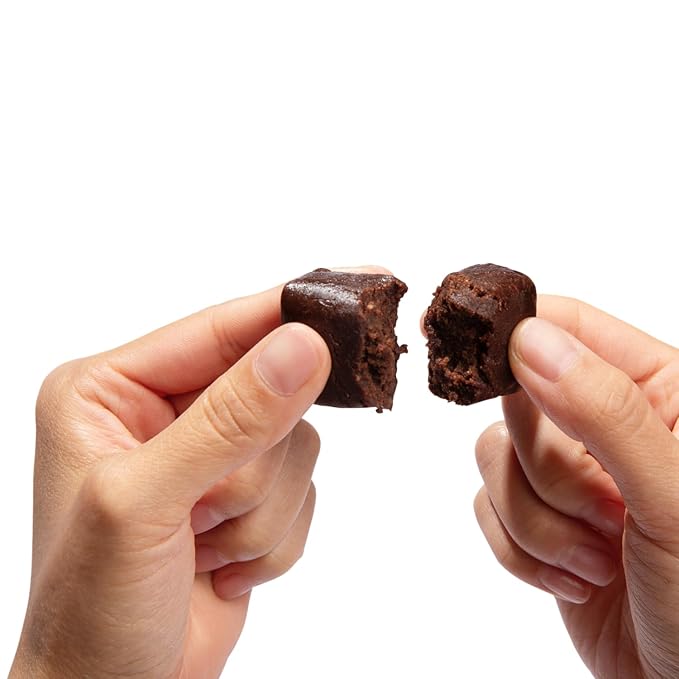 For Wellness Superfood Focus Bites (10 Count), Cocoa Espresso Brownie – Reduces Fatigue, Improves Digestion & Support Brain Function
