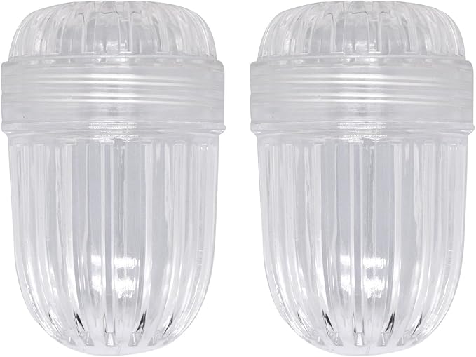 2 pcs Fruit Infuser Insert, Tea Infuser Bottle Ball for Wide Mouth Bottles