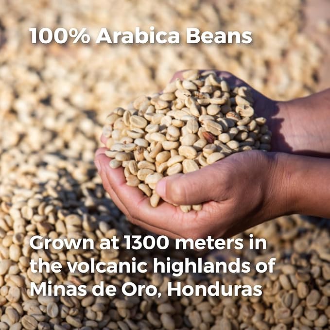 Don Memo Honduras Single-Origin Dark Roast Coffee Beans – Low Acid, Shade-Grown Arabica (Whole Bean, 12 oz) – Sustainably Farmed