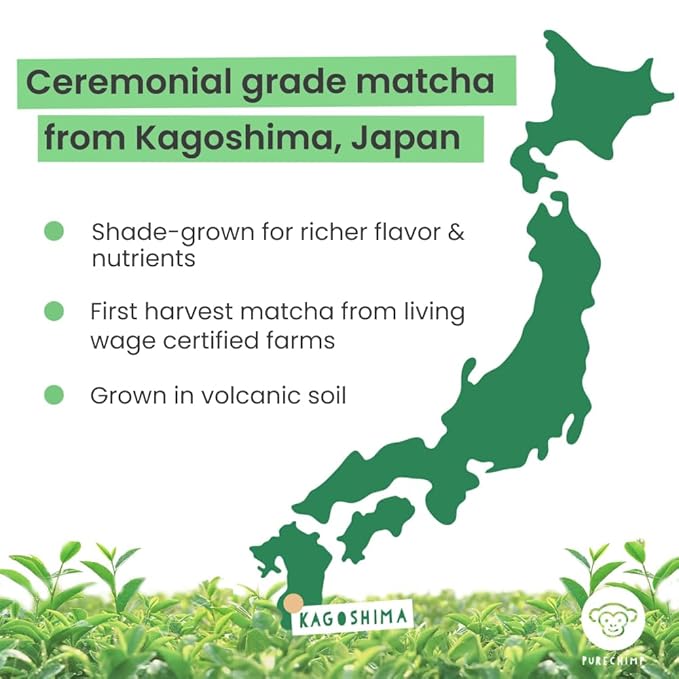 Matcha Green Tea Powder - 1.75 Ounces (50g) of Ceremonial Grade Japanese Matcha for Baking, Lattes and Smoothies - Regular