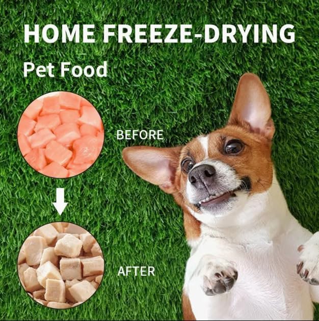 5 Sets Medium Freeze Dryer Tray Dividers Compatible with Harvest Right Trays, Freeze Dried Strawberrie Candy Fruit Dog Cat Treats Tray Dividers, Ideal Accessories for Freeze Dryer Owner(Green)