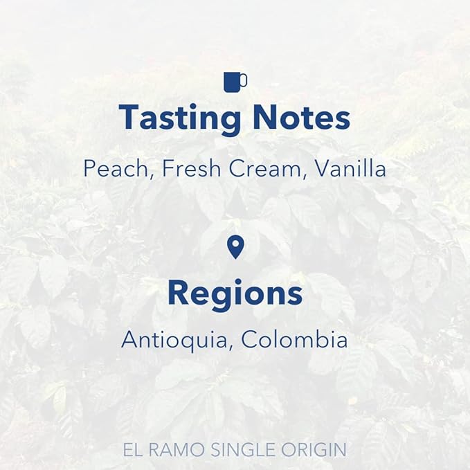 Partners Coffee, Colombia - El Ramo, Whole Bean Coffee, 12 Ounce - Medium-Light