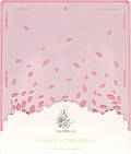 Cake Decorating Stencil for Tall Buttercream Cake, Royal Icing, Ganache, Paint, Airbrush (Float)