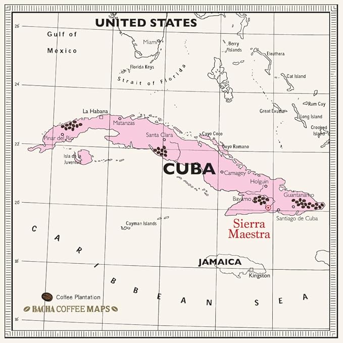 Bacha Coffee | Turquino Cuba Single Origin, Medium Dark Roast, 100% Arabica Specialty Coffee, 12 Coffee Drip Bags, Gift Box