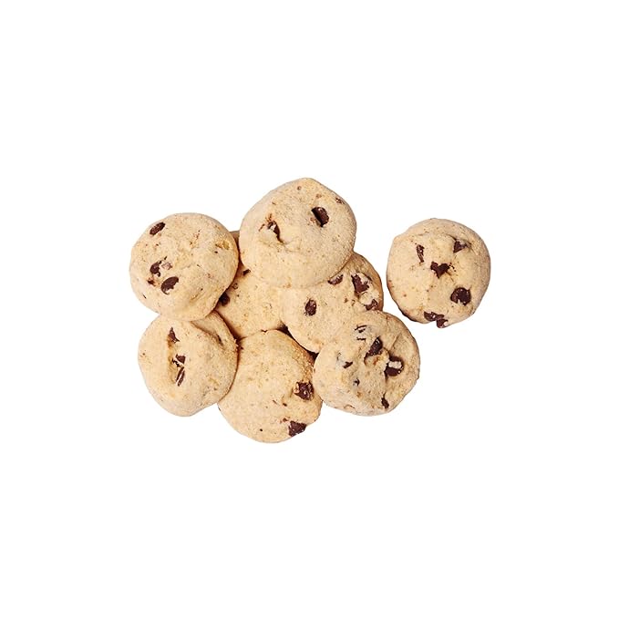 Rule Breaker Vegan & Gluten-Free Cookies | Chocolate Chip Bites | Plant-Based, Dairy, Nut, Soy, Allergen Free, Kosher | Great for School, Lunchbox, Office, Pantry | Soft-Baked, Better-For-You Cookie Bites (Pack of 3)
