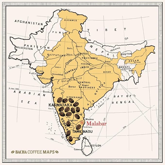 Bacha Coffee | Monsoon Secret India Single Origin, Medium Dark Roast, 100% Arabica Specialty Coffee, 12 Coffee Drip Bags, Gift Box