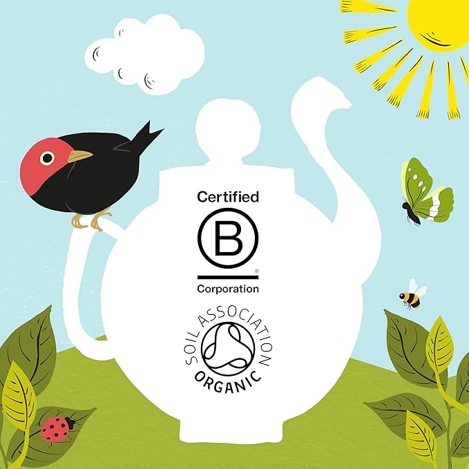 Clipper Tea, Organic Fairtrade Everyday, Organic, USDA Non-GMO, Fair Trade, Sustainable Caffeinated Tea, 1 Pack, 80 Unbleached Tea Bags
