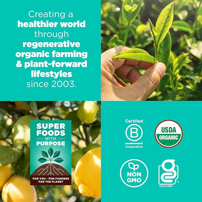 Navitas Organics Lemon Matcha Cashew Superfood+ BITES – Power Snacks – All Natural Plant Based – Clean Energy & Nutrition – USDA Organic, Non GMO, Gluten Free, Soy Free, Vegan (8oz. Bag 11 Servings)