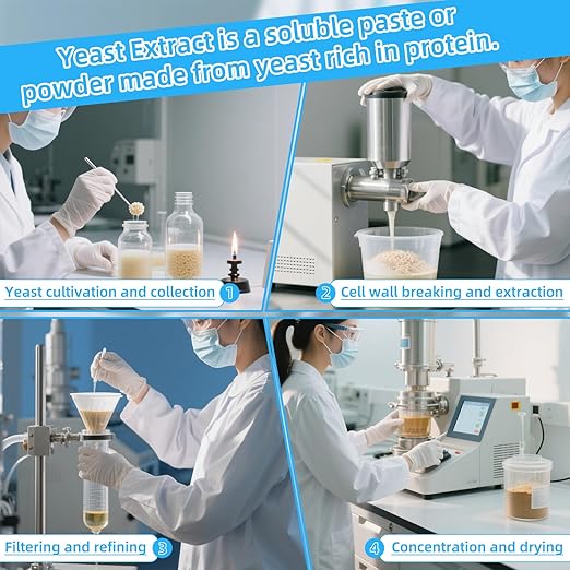 Yeast Extract Medium, Industrial Grade Nutrient Culture Medium, Yeast Extract Media Powder for Laboratory Bacterial Culture, Mycology, 500g/Bottle(1.1 lb.)