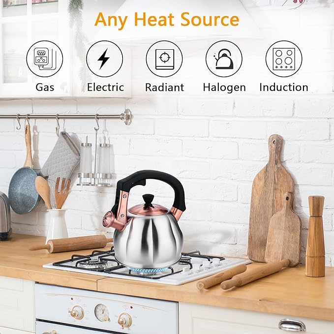 Stainless Steel Tea Kettle for Stove Top Teakettles Stovetop Whistling with Heat Proof Ergonomic Handle 2.5 Quart