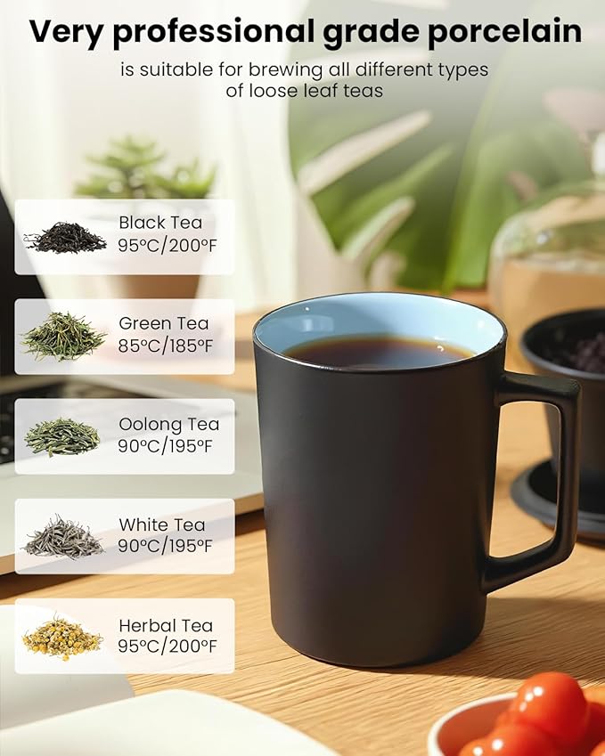 15 OZ Porcelain Tea Infuser Cup with Lid,Ceramic Tea Mug with All-Porcelain Strainers for Loose Leaf Teas,Microwave and Dishwasher Safe Coffee Mug,Metal-Free,BPA-Free,Gifts for Tea-Lover (Black)