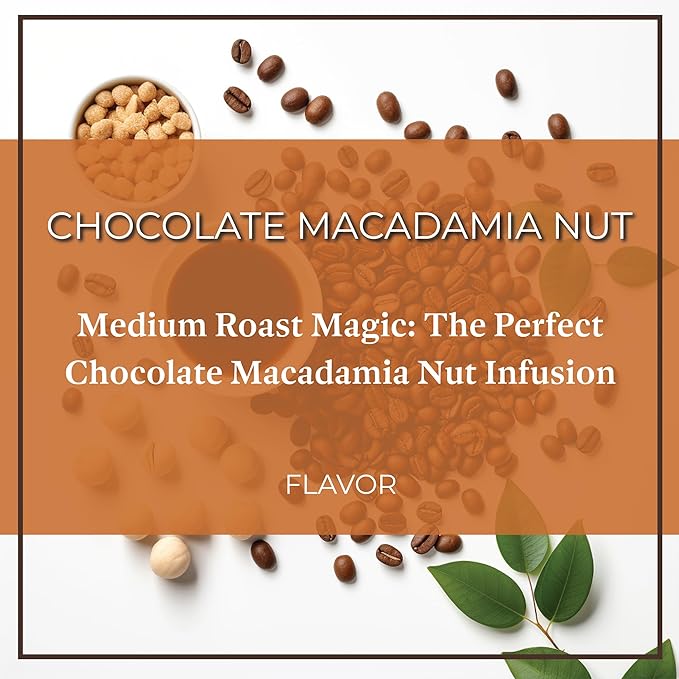 San Diego Coffee Chocolate Macadamia Nut, Medium Roast, Whole Bean Coffee, 16-Ounce Bag Café en grano tostado