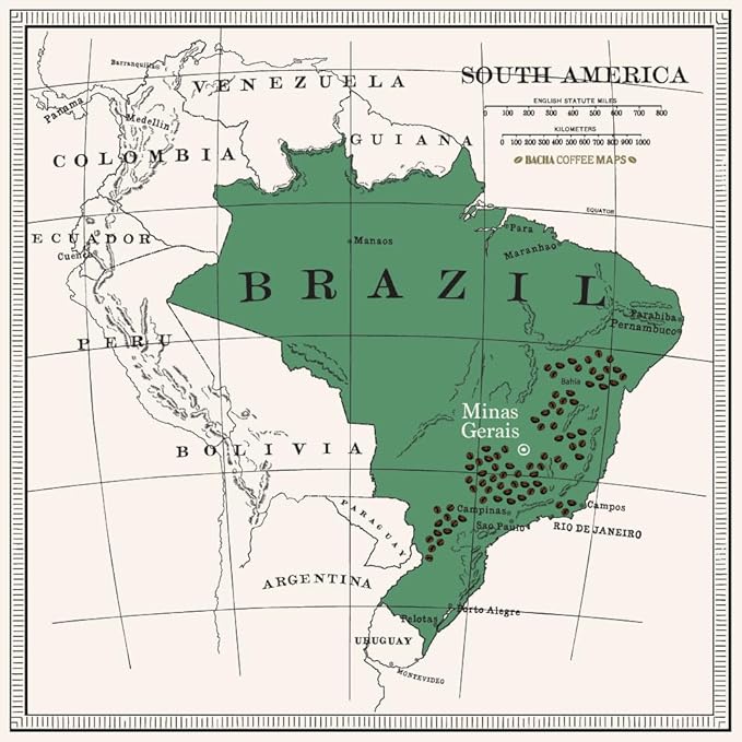 Bacha Coffee | Lagoa Brazil Single Origin, Medium Light Roast, 100% Arabica Specialty Coffee, 12 Coffee Drip Bags, Gift Box