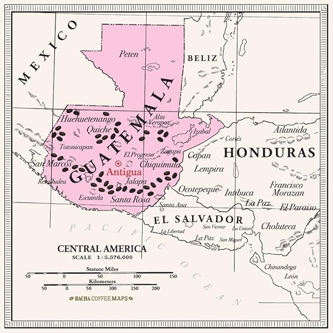 Bacha Coffee | Sierra Madre Guatemala Single Origin, Medium Roast, 100% Arabica Specialty Coffee, 12 Coffee Drip Bags, Gift Box