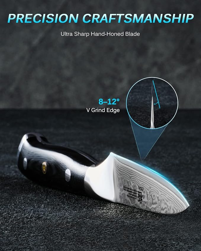 KYOKU Gin Series 3.5" Paring Knife - Japanese VG10 Damascus Stainless Steel Kitchen Knife With Silver Ion Blade, G10 Handle, Mosaic Pin - for Fruit, Vegetable, Peeling, Coring