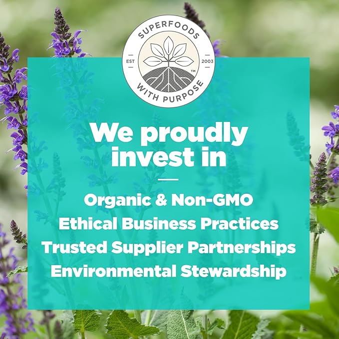 Navitas Organics Strawberry Peanut Chia Superfood+ BITES – Power Snacks – All Natural Plant Based – Clean Energy & Nutrition – USDA Organic, Non GMO, Gluten Free, Kosher, Vegan (8oz. Bag 11 Servings)