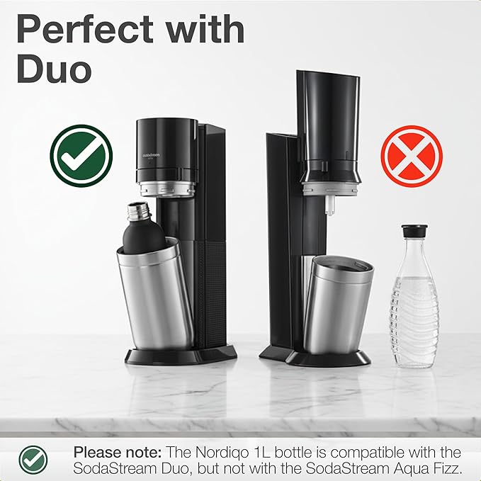 Stainless Steel Carbonating Bottle 33 oz | Compatible with Aarke Carbonator 3, Sodastream (Excl. model Aqua Fizz + Jet) and many others| Dishwasher Safe, No Expiration Date, BPA-Free