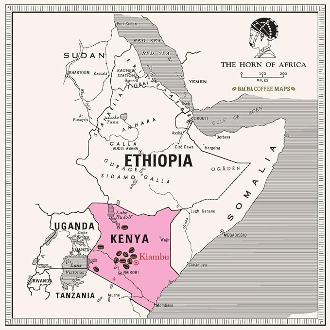 Bacha Coffee | Mount Kenya Single Origin, Medium Dark Roast, 100% Arabica Specialty Coffee, 12 Coffee Drip Bags, Gift Box