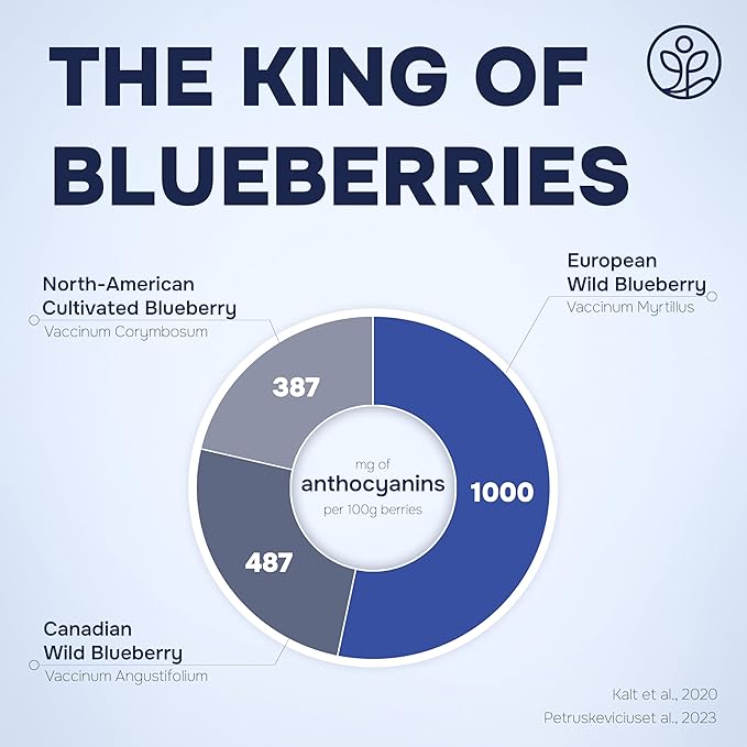 Wild Blueberry Powder Organic 5 Ounce Bag USDA Certified & 3rd Party Lab Tested - Antioxidant Rich Smoothies Freeze Dried Blueberries Organic Blueberry Extract for Baking From Whole Dried Blueberries