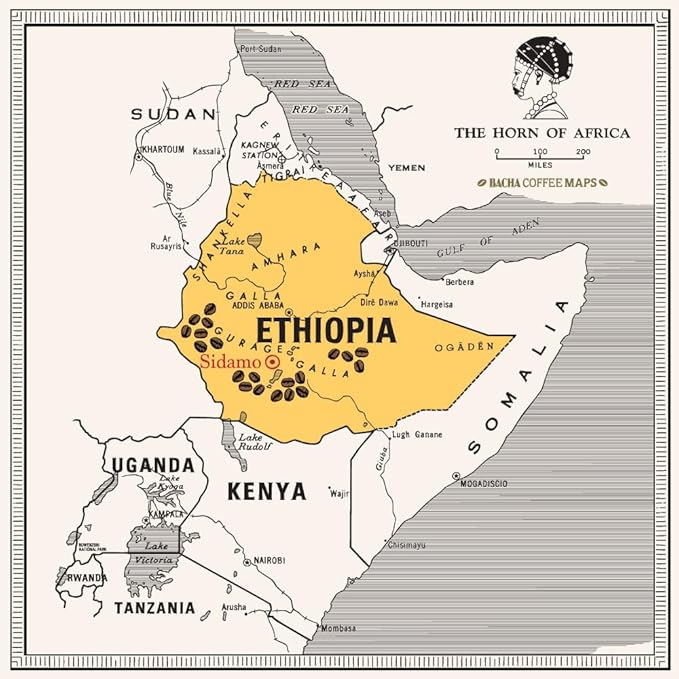 Bacha Coffee | Sidamo Mountain Ethiopia Single Origin, Medium Dark Roast, 100% Arabica Specialty Coffee, 12 Coffee Drip Bags, Gift Box