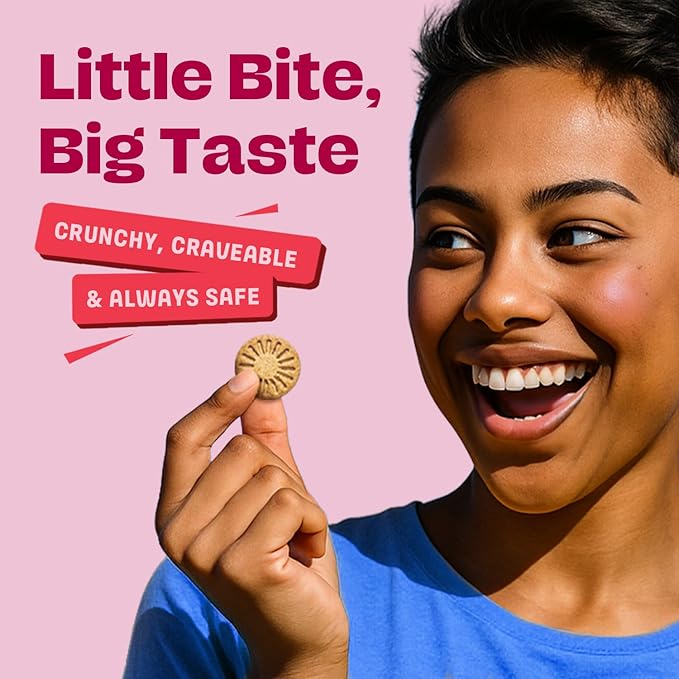 Gluten Free Partake Classic Graham Cracker Minis - Vegan - Free From the Top 9 Allergens Including Dairy, Wheat, Soy, Eggs, & Peanuts - Non GMO - Safe School & Office Snack (20 Packs, 0.67 oz)