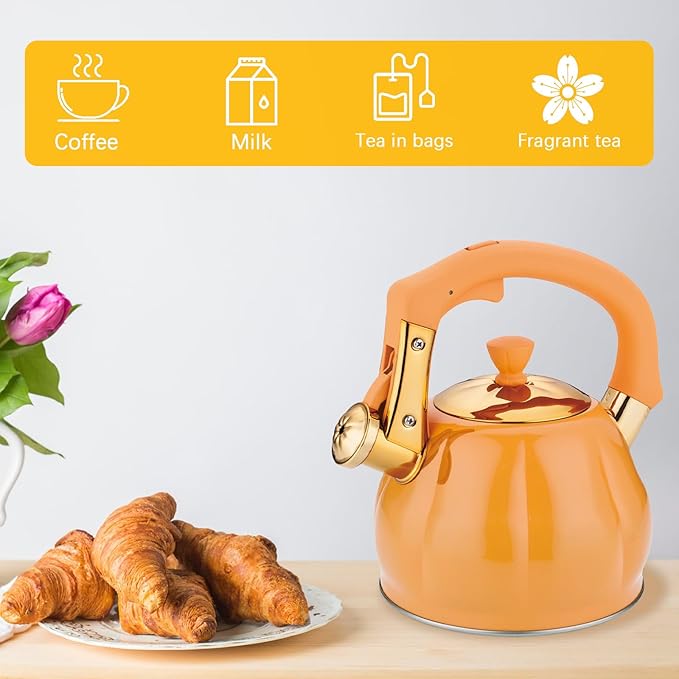 Stainless Steel Tea Kettle for Stove Top Teakettles Stovetop Whistling with Heat Proof Ergonomic Handle 2.5 Quart