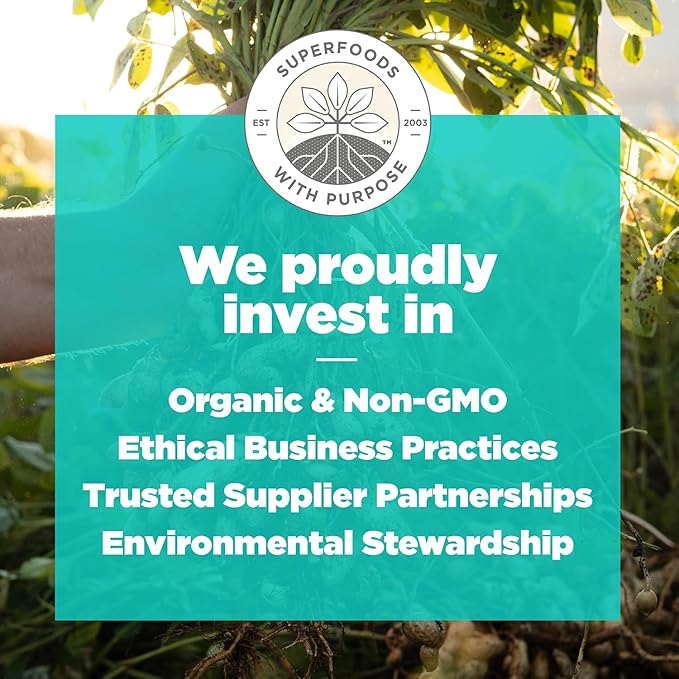 Navitas Organics Salted Peanut Chocolate Superfood+ BITES – Power Snacks – All Natural Plant Based – Clean Energy & Nutrition – USDA Organic, Non GMO, Gluten Free, Kosher, Vegan (8oz. Bag 11 Servings)