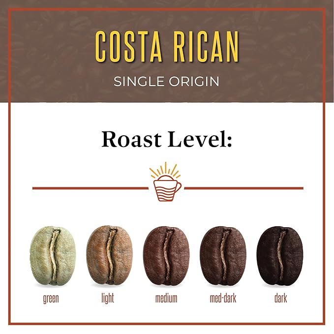 San Diego Coffee Costa Rican, Medium Roast, Whole Bean Coffee, 16-Ounce Bags (Pack of 2) Café en grano tostado