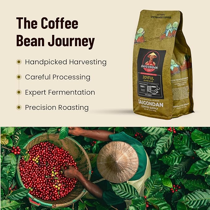 Vietnamese Coffee Beans - Saigondan Joyful | Medium Roast | 100% Arabica Bourbon | Single Origin | Roasted in Small Batches | Direct Trade | Notes of Orange Blossoms | No Preservatives | 12 Oz
