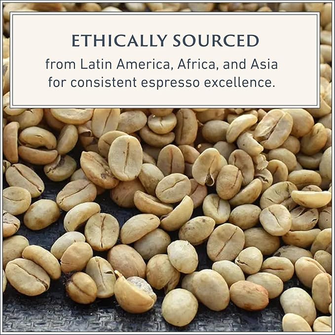 Filicori Zecchini Italian Espresso Beans – Whole Bean Coffee, Bold Dark Roast Arabica & Robusta Blend Roasted in Bologna – Slow Roasted Forte 340g