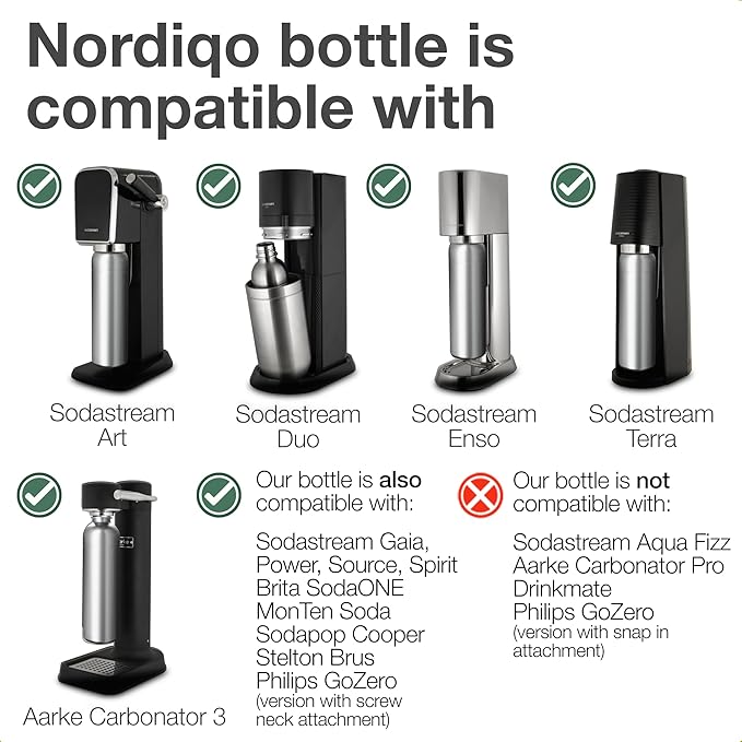 Premium 33 oz Stainless Steel Bottle | Compatible with Aarke Carbonator 3, Sodastream (excl. Aqua Fizz + Jet) and many others | Dishwasher Safe, No Expiration Date | 2-Pack