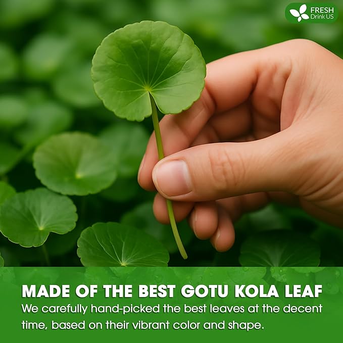 FreshDrinkUS, Premium Gotu Kola Leaf Tea – 40 Tea Bags | Pure Dried Centella Asiatica Leaves | Naturally Caffeine-Free Herbal Tea | Refreshing Aroma & Smooth Taste | Premium Herbal Infusion. Vegan