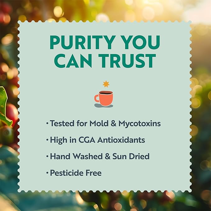 Clean Coffee Co. - Low Acid Dark Roast, Tested for Molds and Toxins, Honduras Blend, Notes of Caramel, Dark Chocolate, and Toasted Malts (Ground, 12 oz Bag) (Pack of 2)
