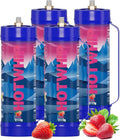 whipped cream charger,4x2112g 3.3L Strawberry Flavor 99.99% Purity Food Grade Premium Whip Cream Cartridge With Nozzle（4,2112g Strawberry)