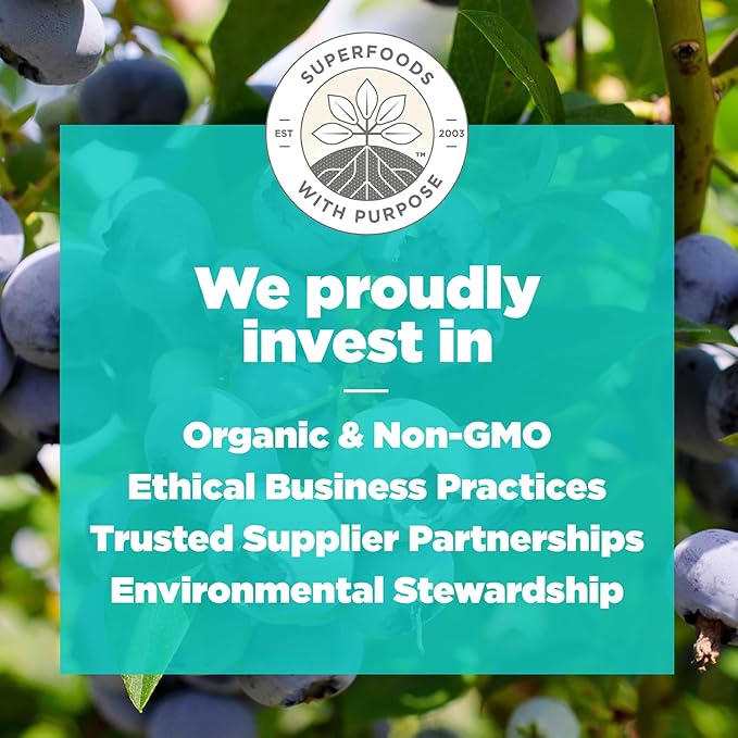 Navitas Organics Superfood Power Snacks, Blueberry Hemp, 8oz. Bag, 11 Servings - Organic, Non-GMO, Gluten-Free