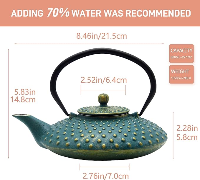 27.1oz Small Cast Iron Teapot,SECHUDO Tea Kettle Coated with Enameled Interior for Stovetop Safe, Japanese Style Cast Iron Teapot with Stainless Steel Infuser for Loose Tea,Flat Pattern(800ml)