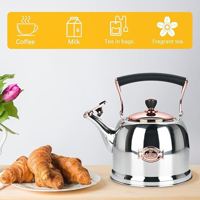 Tea Kettle Stainless Steel Teapot, Stainless Steel Teakettle for Stove Top with Heat Proof Ergonomic Handle 3.0 Quart