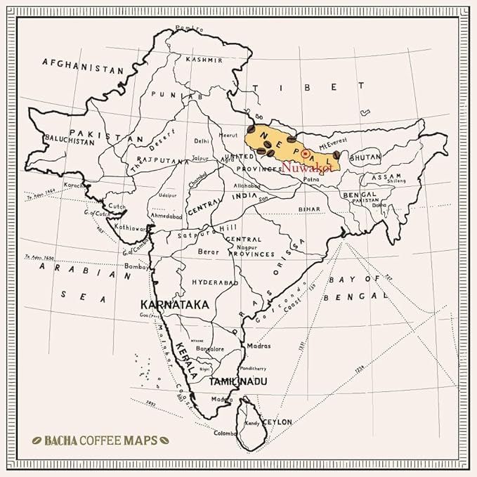 Bacha Coffee | Mount Everest Nepal Single Origin Arabica, 100% Arabica Specialty Coffee, 12 Coffee Drip Bags, Gift Box