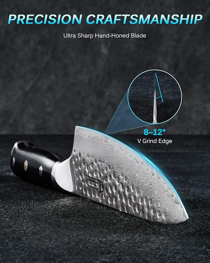 KYOKU Gin Series Chef Knife, 8" All Purpose Kitchen Knife, Japanese VG10 Damascus Stainless Steel Knife with Silver Ion Blade G10 Handle Mosaic Pin, Professional Knife for Meat Fruit Vegetables