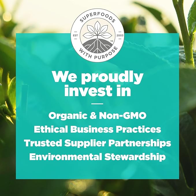 Navitas Organics Lemon Matcha Cashew Superfood+ BITES – Power Snacks – All Natural Plant Based – Clean Energy & Nutrition – USDA Organic, Non GMO, Gluten Free, Soy Free, Vegan (8oz. Bag 11 Servings)