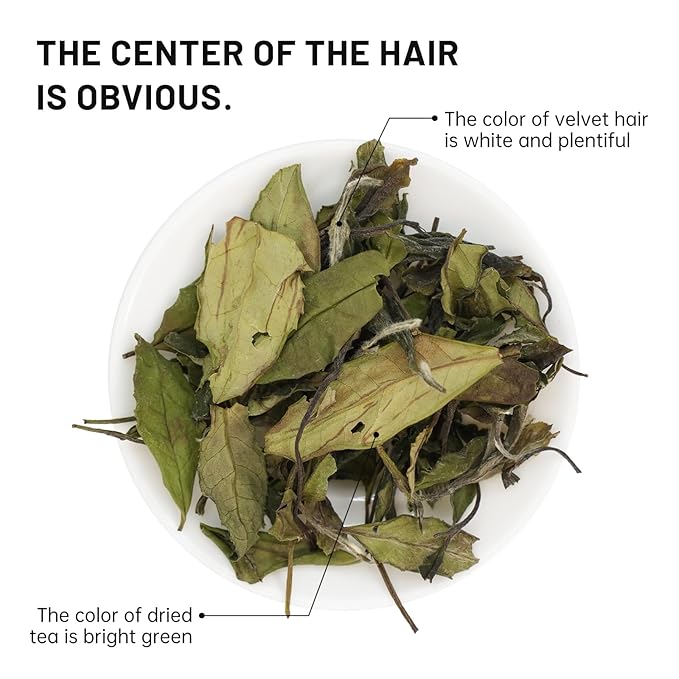 iTeaworld Gongmei White Tea Spring Harvest - Premium Chinese Tea from Fuding Fujian, Low Caffeine Multiple Steeping, Smooth Mellow Taste - Perfect for Daily Drinking & Relaxation - Ideal for Tea Enthusiasts 1 Pack(1.76oz)
