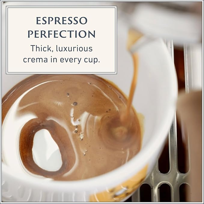 Filicori Zecchini Italian Espresso Beans – Whole Bean Coffee Medium Roast Arabica & Robusta Blend – Low Acidity, Slow Roasted – Delicato 2.2lb Bag